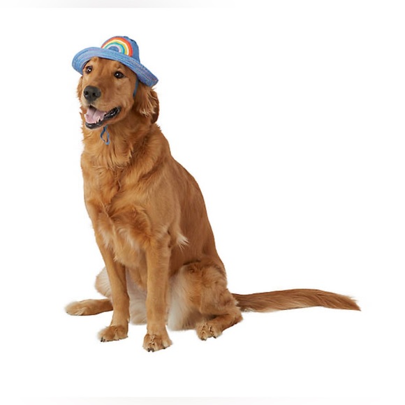 NWT • You Are Loved Pet Apparel • Pride Bucket Dog Hat • Size M/L - Picture 3 of 3
